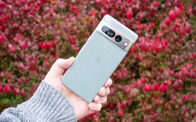 يحتوي Google Pixel 7 على زر سري في الخلف – وإليك كيفية استخدامه